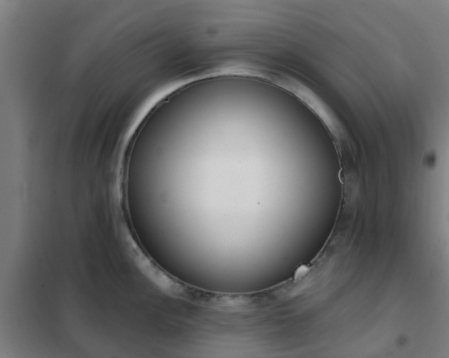 X0000102021148200807251326