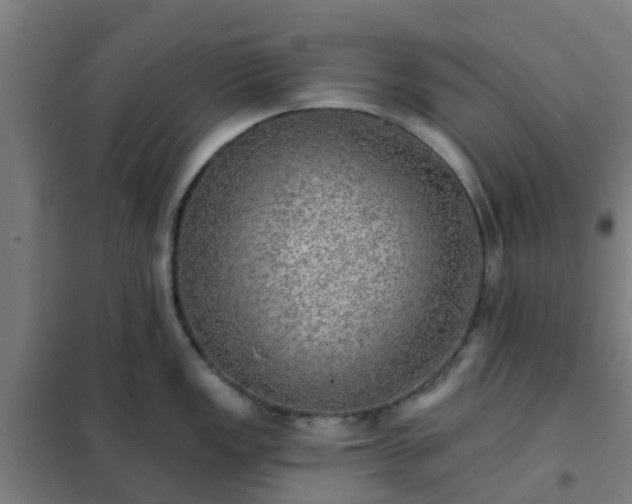 X0000102021149200807251326
