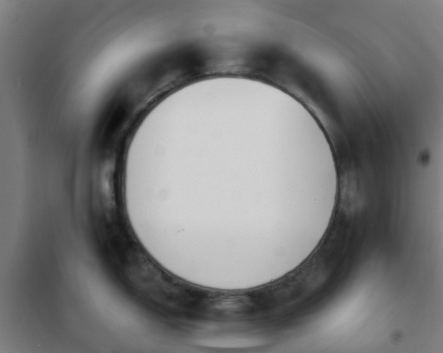 X0000102021150200807251326
