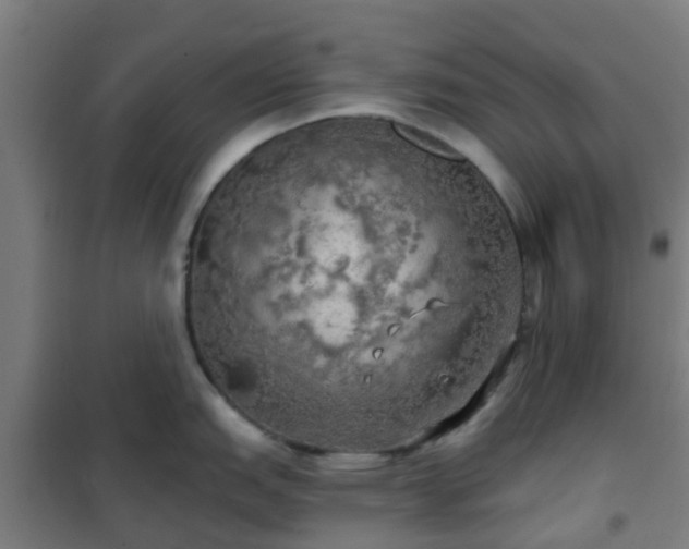 X0000102021151200807251326