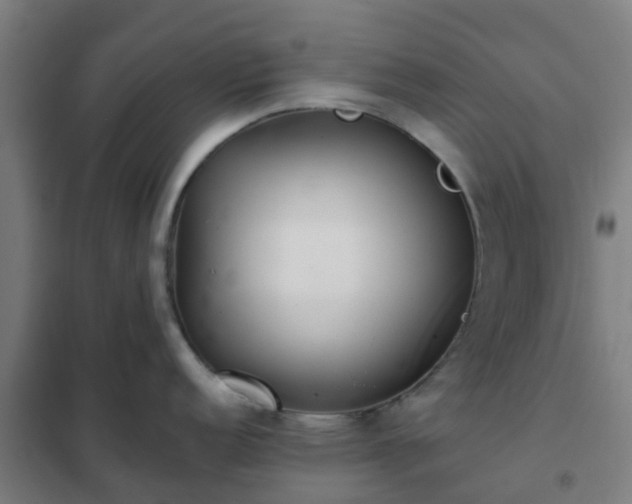 X0000102021152200807251326