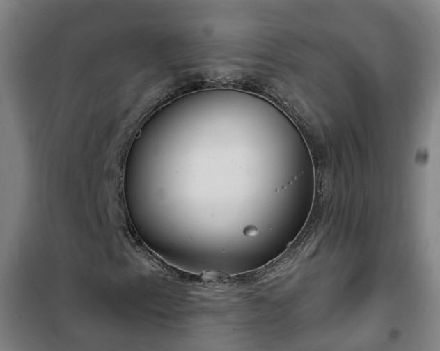 X0000102021153200807251325