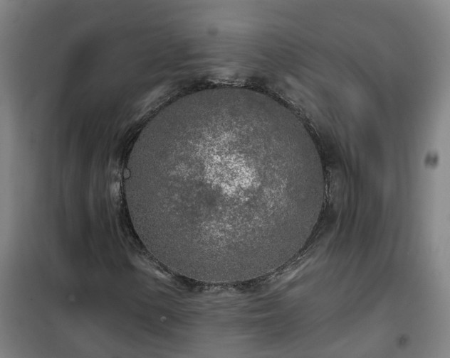 X0000102021154200807251325