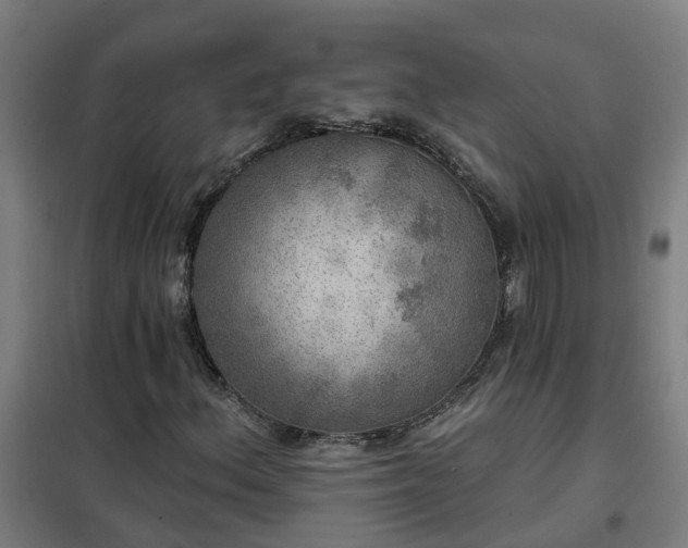 X0000102021156200807251325