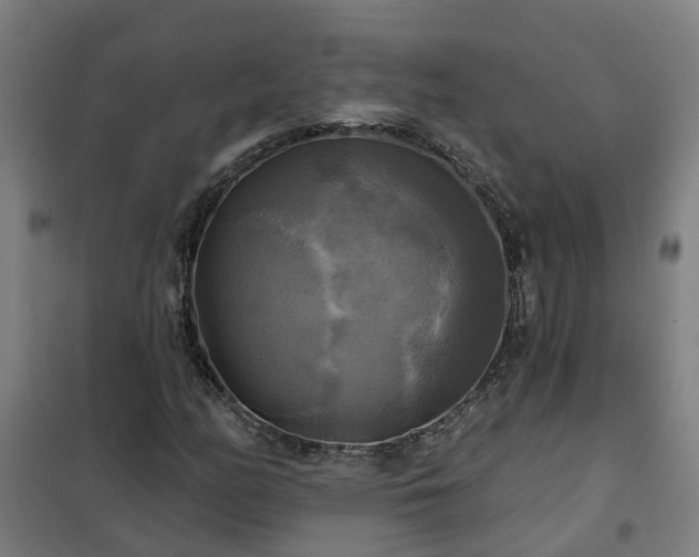 X0000102021158200807251325