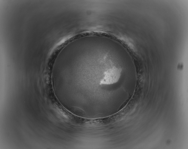 X0000102021159200807251325