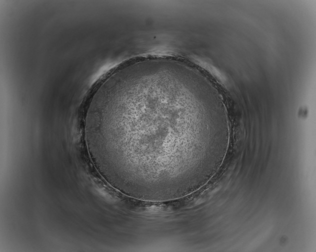 X0000102021160200807251325