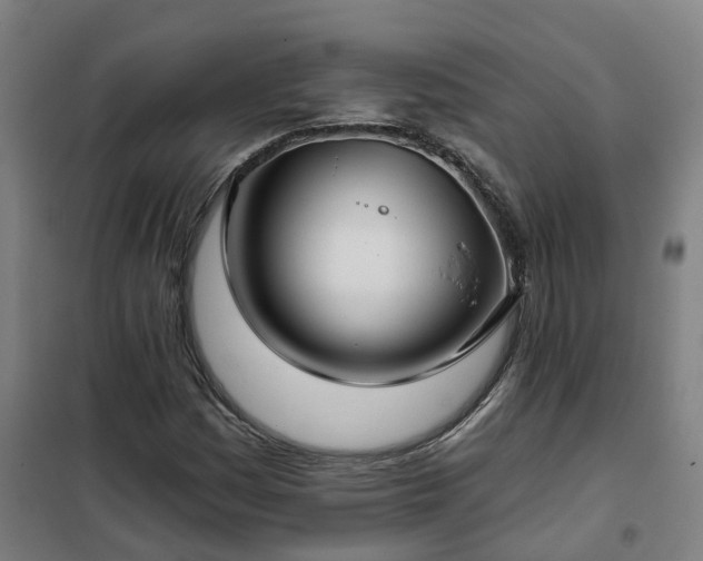 X0000102021161200807251325