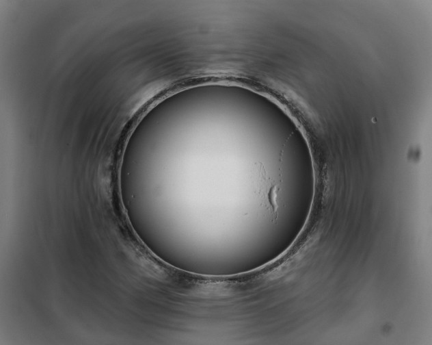X0000102021162200807251325
