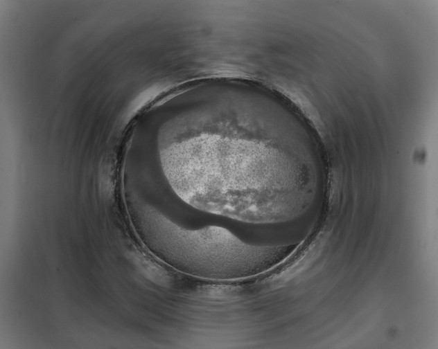 X0000102021163200807251325