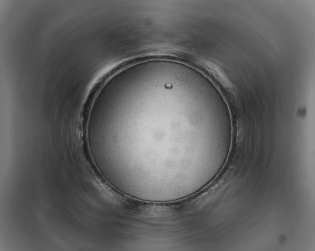X0000102021164200807251325