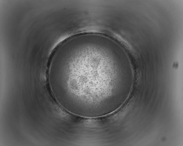 X0000102021166200807251325