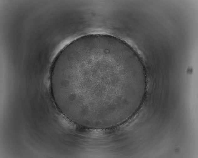 X0000102021167200807251325
