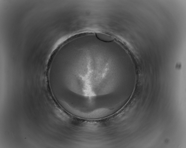 X0000102021168200807251325