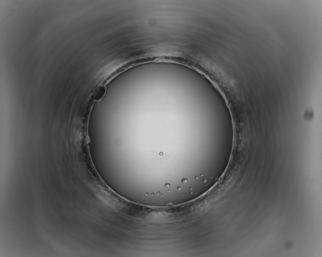 X0000102021169200807251325