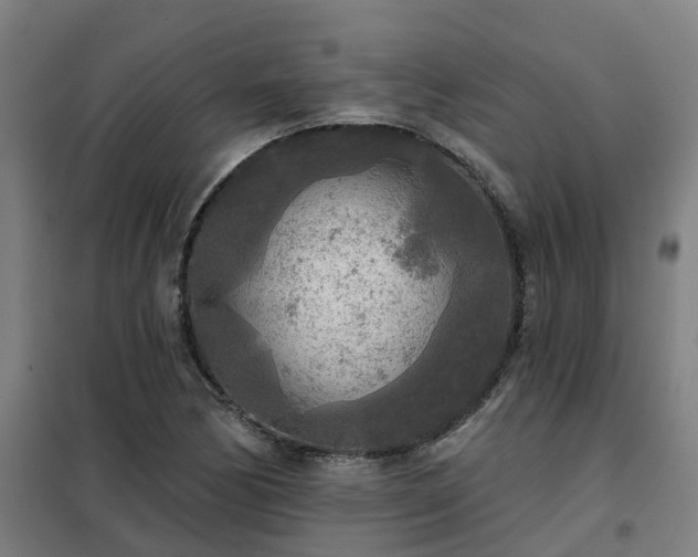 X0000102021170200807251325