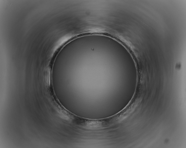 X0000102021171200807251325