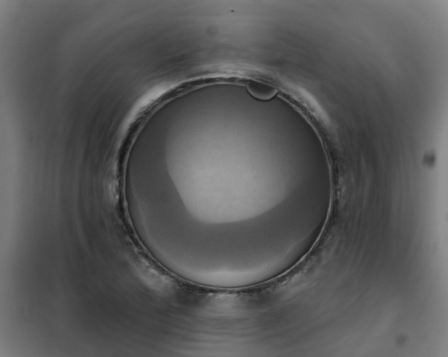 X0000102021172200807251325