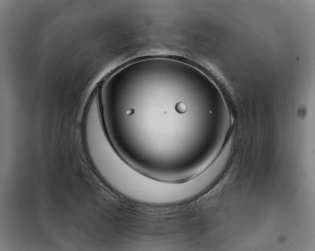X0000102021173200807251325