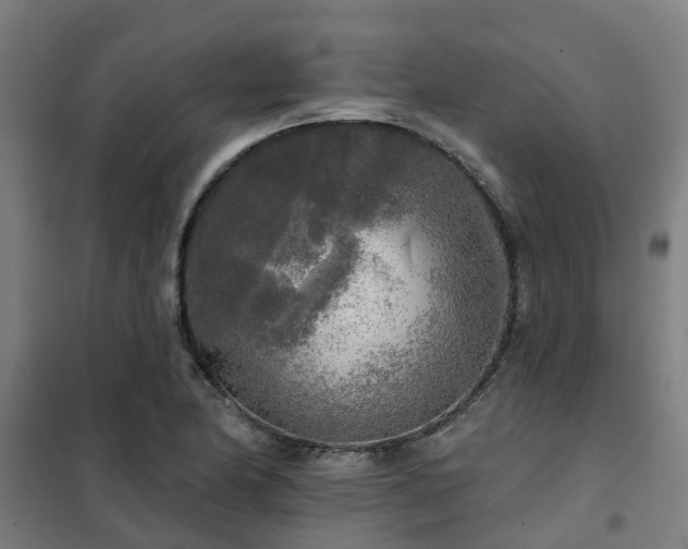X0000102021174200807251325