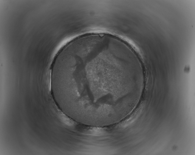 X0000102021175200807251325