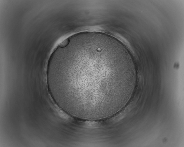 X0000102021176200807251325