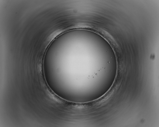 X0000102021177200807251325