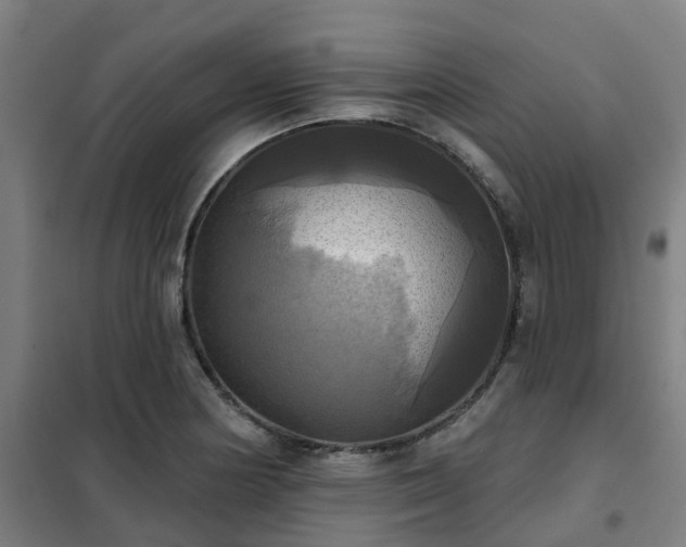 X0000102021178200807251325
