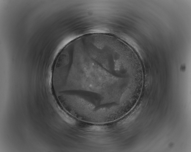 X0000102021179200807251325