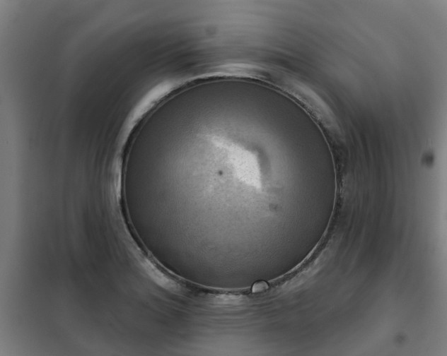 X0000102021180200807251325