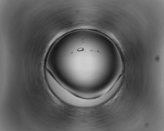 X0000102021181200807251325