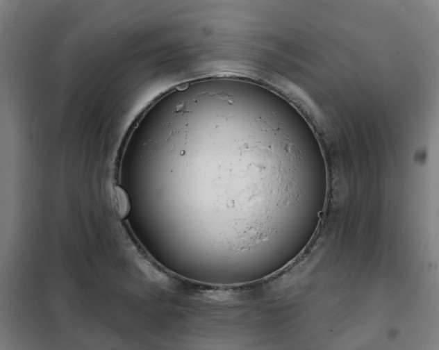 X0000102021182200807251325
