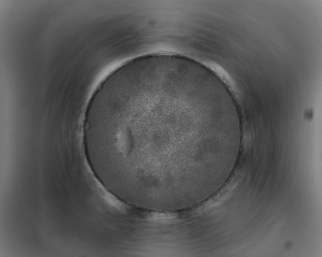 X0000102021183200807251325
