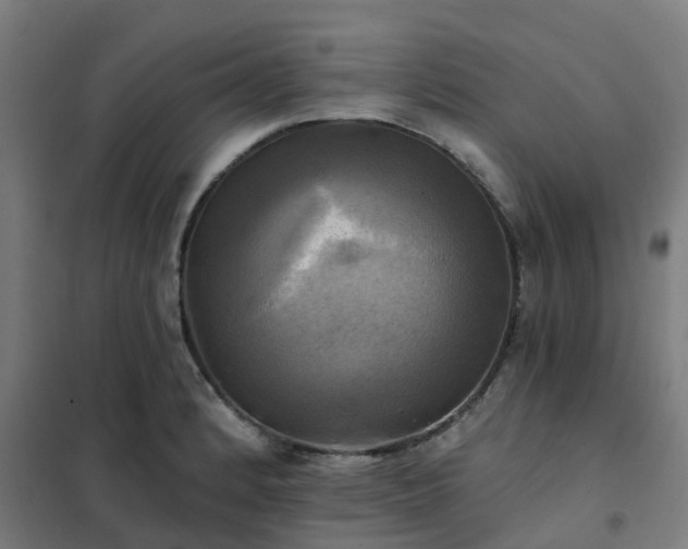 X0000102021184200807251325