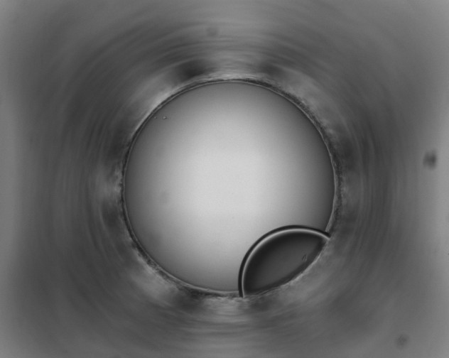 X0000102021185200807251325