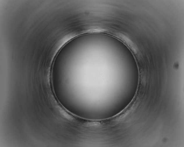 X0000102021186200807251325