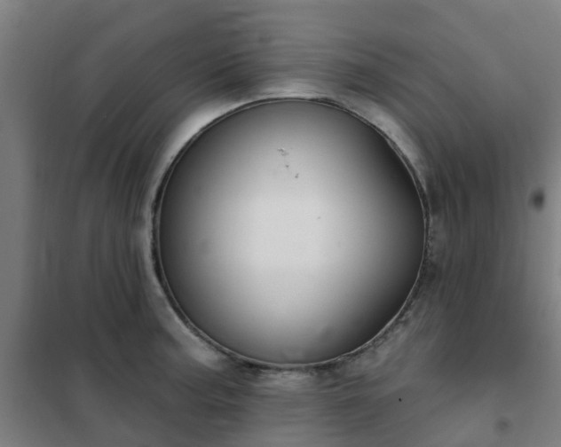 X0000102021187200807251325