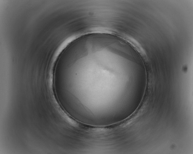 X0000102021188200807251324