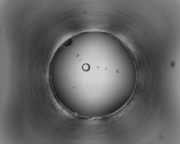X0000102021189200807251324