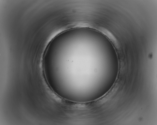 X0000102021190200807251324