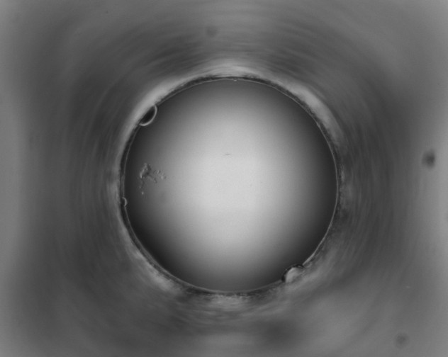 X0000102021191200807251324
