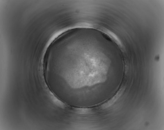 X0000102021192200807251324