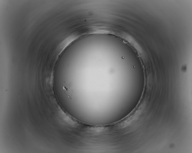 X0000102021193200807251324