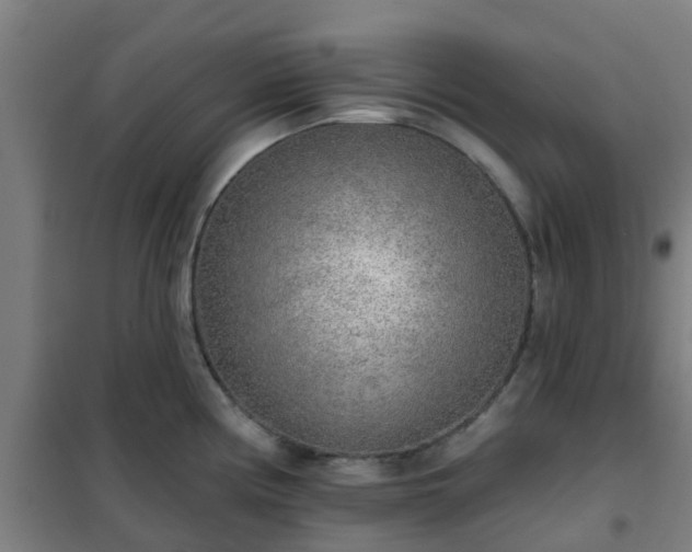 X0000102021194200807251324