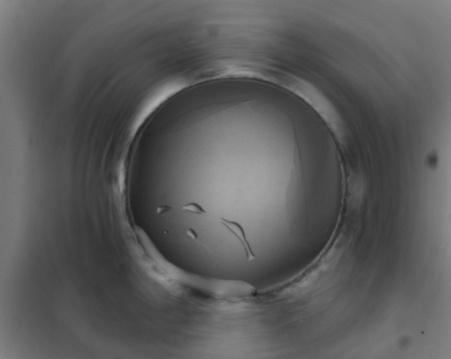X0000102021198200807251324