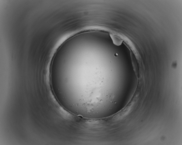 X0000102021199200807251324