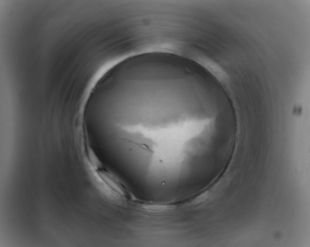 X0000102021200200807251324