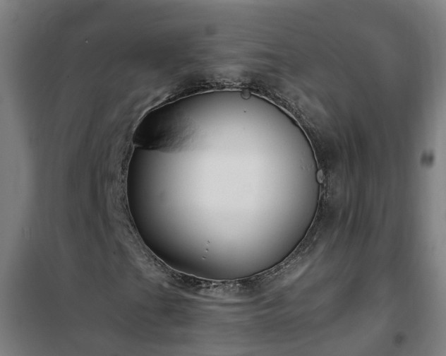 X0000102021201200807251324