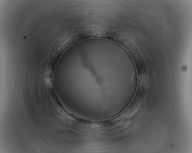 X0000102021202200807251324