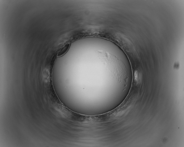 X0000102021203200807251324